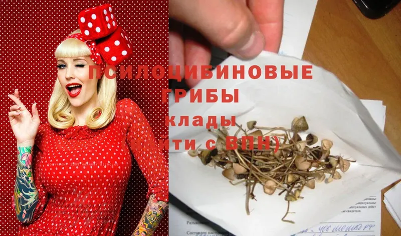 Галлюциногенные грибы Magic Shrooms  Сортавала 